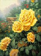 unknow artist Yellow Roses in Garden Spain oil painting artist